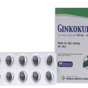 Ginkokup 120mg H/60 viên (Thuốc tăng cường tuần hoàn não)