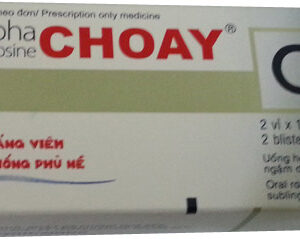 Alphachymotrypsine choay H/20 v