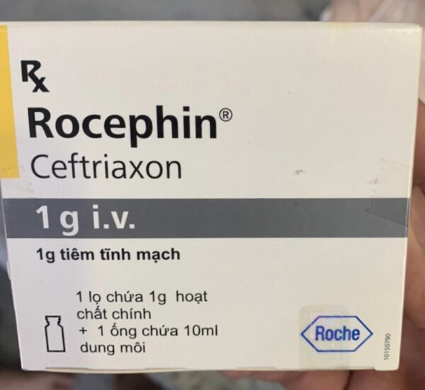 Rocephin 1g IV H/1lọ