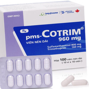 PMS Cotrim 960mg H/100 viên