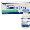 Claminat 1,2 g H/10 lọ