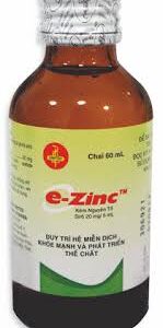 E ZINC