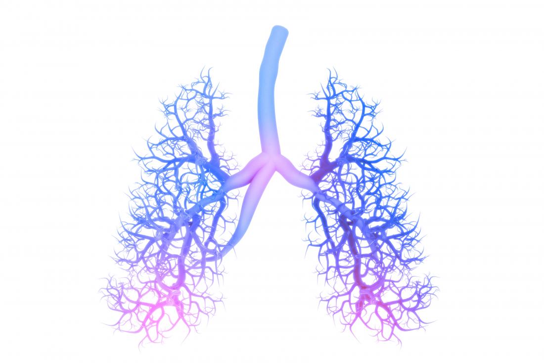 concept-illustration-of-lungs-1
