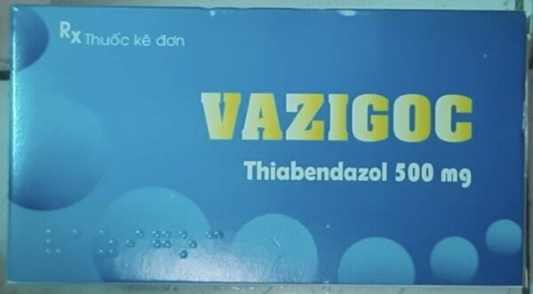 Vazigoc (Thiabendazol 500 mg) H/28 viên
