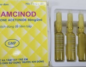 Triamcinod 80 mg/2 ml H/5 ống