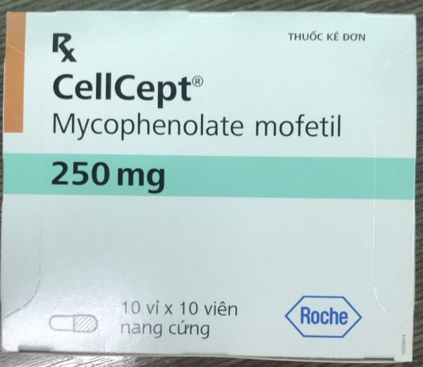 CELLCEPT 250 MG H/100 VIÊN ROCHE Ý