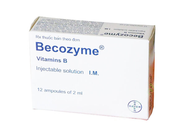 BECOZYME 2ML Inj H/12 ống
