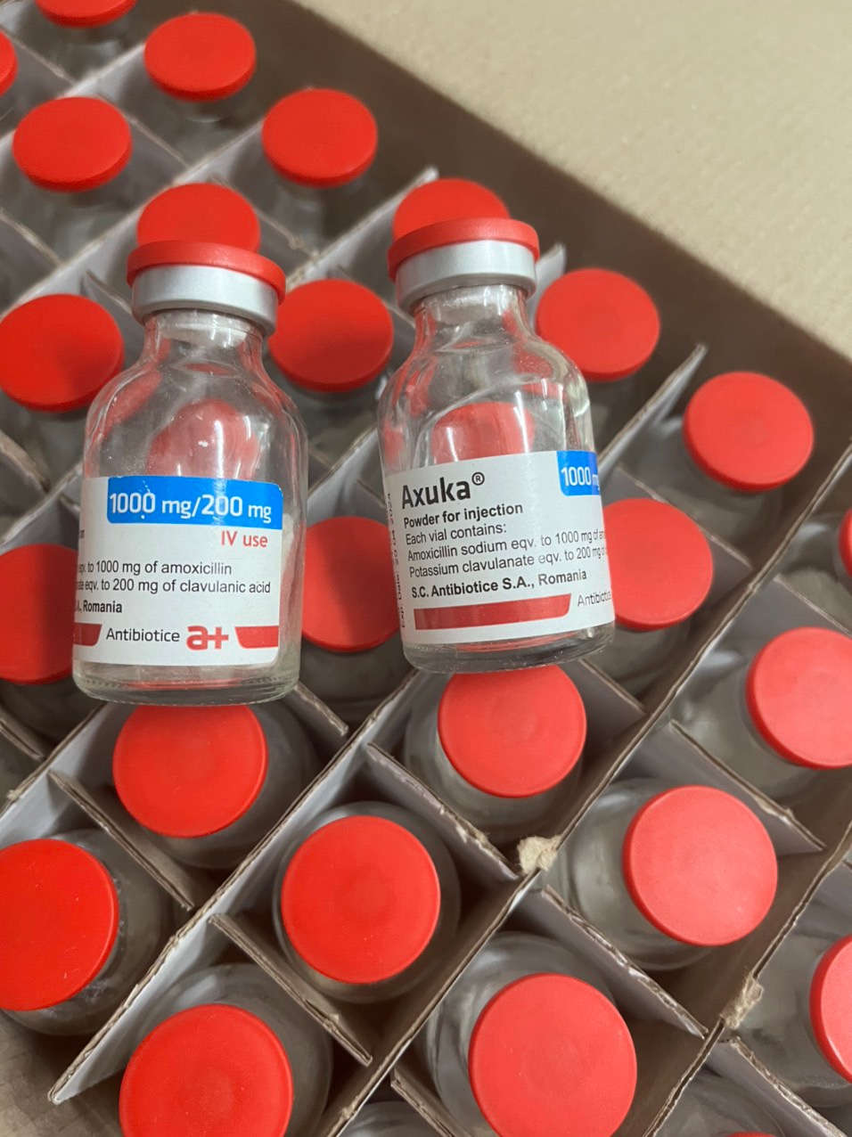 Axuka 1.2g H/1 lọ (Thuốc điều trị nhiễm khuẩn đường hô hấp)