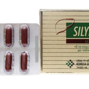 Silybean Comp H/60 viên ( gan)