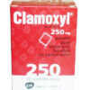 CLAMOXYL SAC 250MG H/12 gói