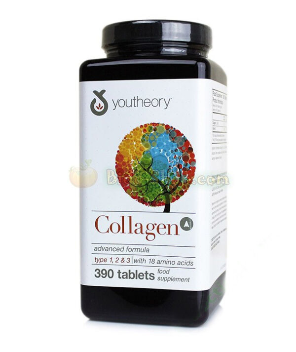COLLAGEN YOUTHEORY TYPE 1 2 & 3 390