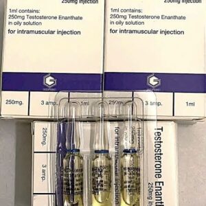 TESTOSTERONE ENANTHATE 250MG H/3 LỌ 1ML