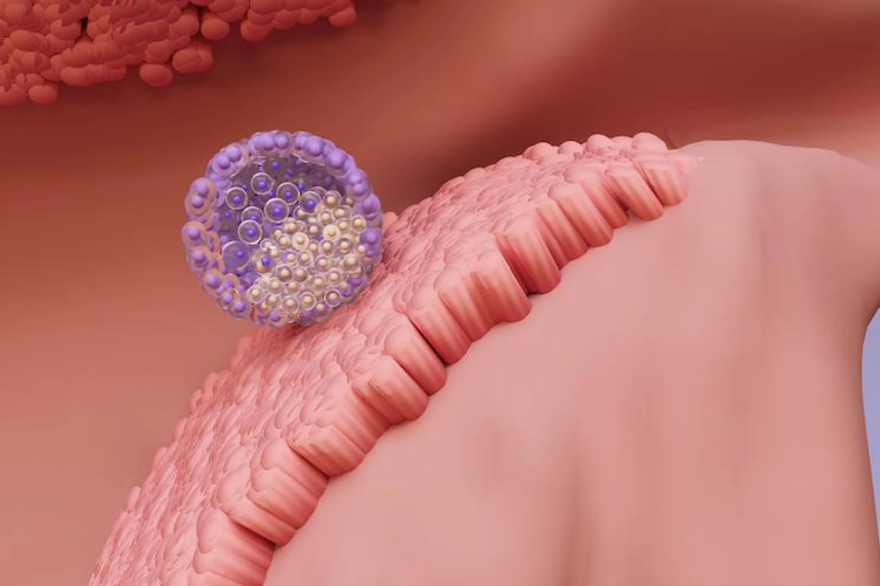 bầu mấy tuần có tim thai, mấy tuần có tim thai, thai 6 tuần có tim thai chưa, thai 5 tuần có tim thai chưa, thai mấy tuần có tim thai, dấu hiệu biết có tim thai, 21 ngày sau chuyển phôi đã có tim thai chưa