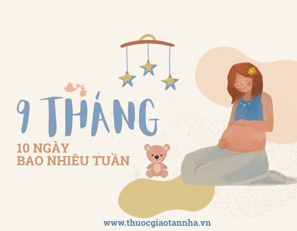 9 tháng 10 ngày, 9 tháng 10 ngày là bao nhiêu ngày, 9 tháng 10 ngày la bao nhiêu tuần, 9 tháng 10 ngày là mấy tuần, bầu 9 tháng là bao nhiêu tuần, tại sao 9 tháng 10 ngày lại là 40 tuần