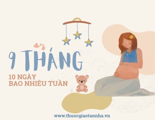 9 tháng 10 ngày, 9 tháng 10 ngày là bao nhiêu ngày, 9 tháng 10 ngày la bao nhiêu tuần, 9 tháng 10 ngày là mấy tuần, bầu 9 tháng là bao nhiêu tuần, tại sao 9 tháng 10 ngày lại là 40 tuần