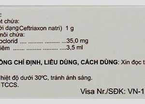 Daytrix 1g H/1 lọ (Ceftriaxon 1g) Kháng sinh phổ rộng