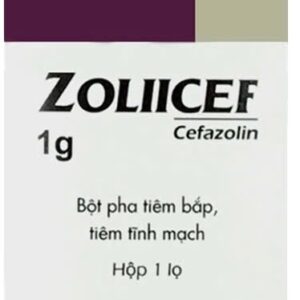 ZOLIICEF 1g (Cefazolin 1g) H/10 lọ